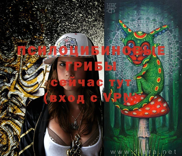 стаф Осташков