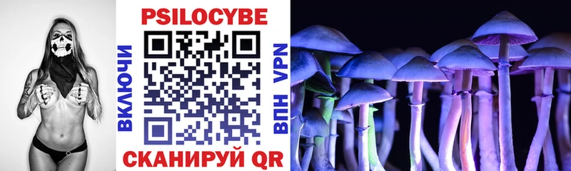 Галлюциногенные грибы Psilocybine cubensis  Купить  Великий Новгород 